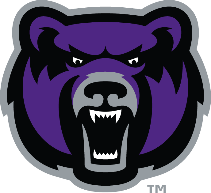 Central Arkansas Bears 2009-Pres Alternate Logo v8 diy DTF decal sticker